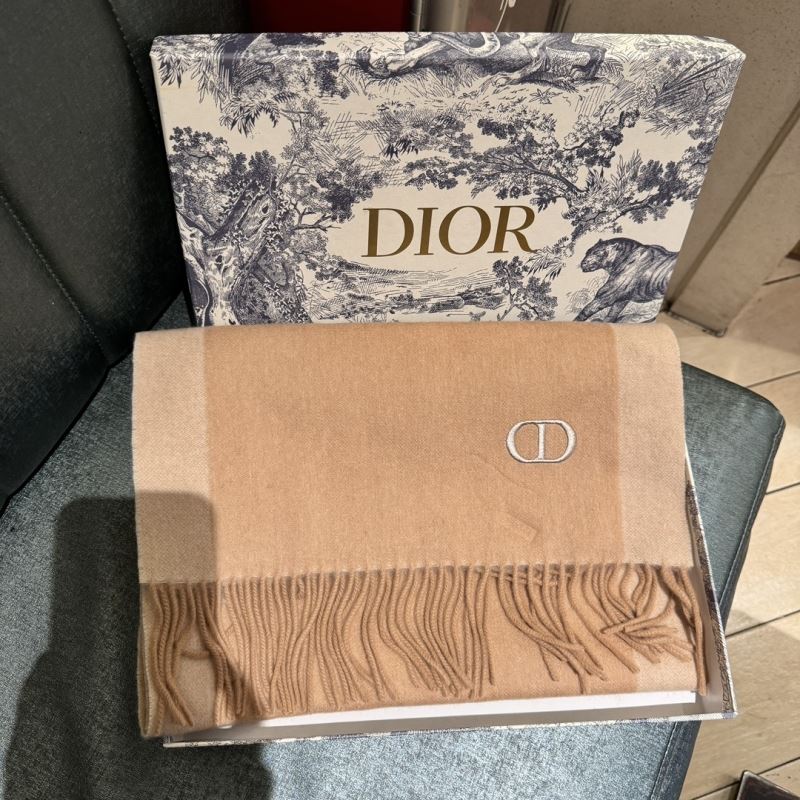 Christian Dior Scarf